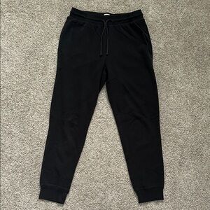 Aritzia Lightweight Thermal Jogger